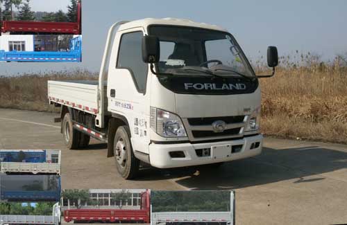 BJ3042D9JB3-FA自卸汽车燃油公告图片2
