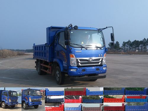ZZ3128E17EB0自卸汽车燃油公告图片2