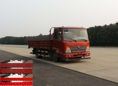 DFH1100BX5载货汽车燃油公告图片2