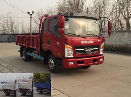ZB1046UDD6V载货汽车燃油公告图片2