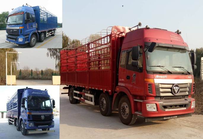 BJ5252CCY-AA仓栅式运输车燃油公告图片2