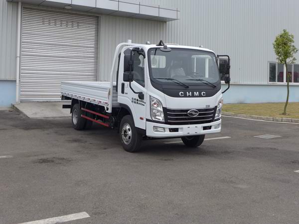 CNJ1041ZDB33V载货汽车燃油公告图片2
