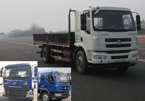 LZ1181M3AB载货汽车燃油公告图片2