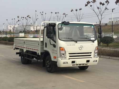 CGC1046HDE33E载货汽车燃油公告图片2