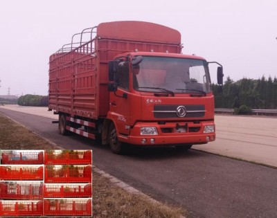 DFH5120CCYBXV仓栅式运输车燃油公告图片2