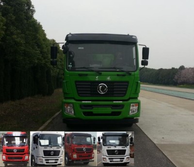 DFZ3310GSZ5D5自卸汽车燃油公告图片1