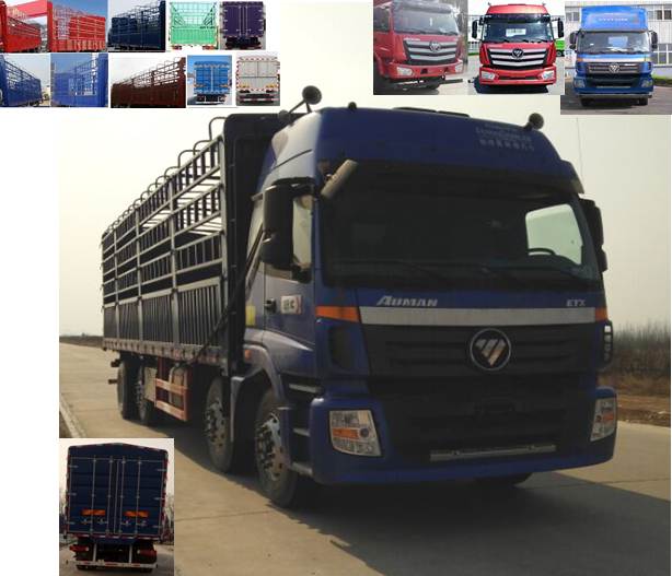 BJ5313CCY-AC仓栅式运输车燃油公告图片2