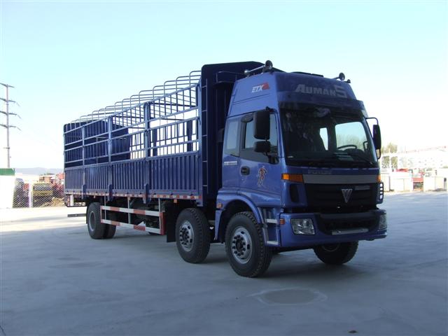BJ5253VMCHH-2仓栅式运输车燃油公告图片2