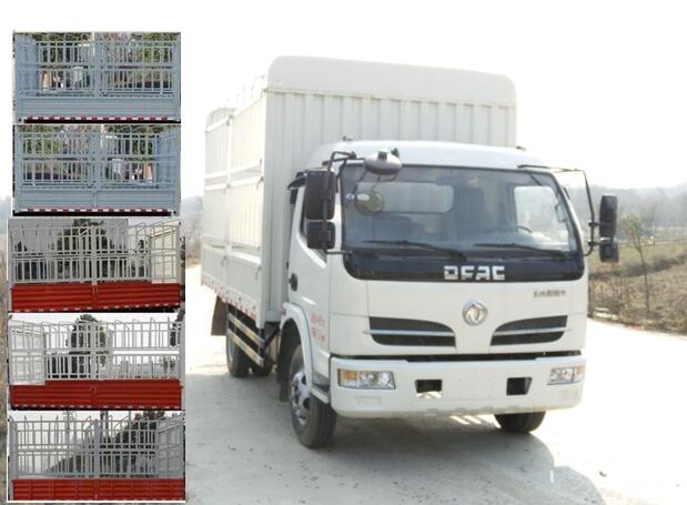 EQ5041CCY8BDBAC仓栅式运输车燃油公告图片2