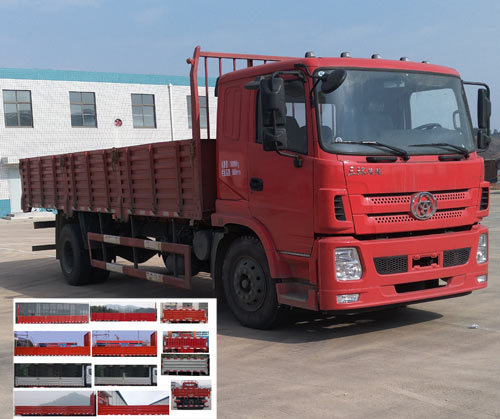 STQ1182L10Y2N5载货汽车燃油公告图片2