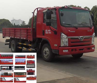 STQ1043L02Y1N5载货汽车燃油公告图片2