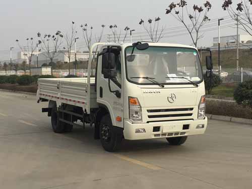 CGC1046HDE33E载货汽车燃油公告图片2