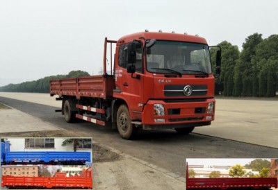 DFH1180BX1DV载货汽车燃油公告图片2