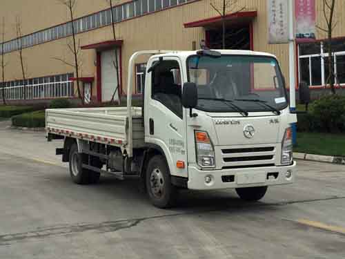 CGC1048HDC33E载货汽车燃油公告图片2