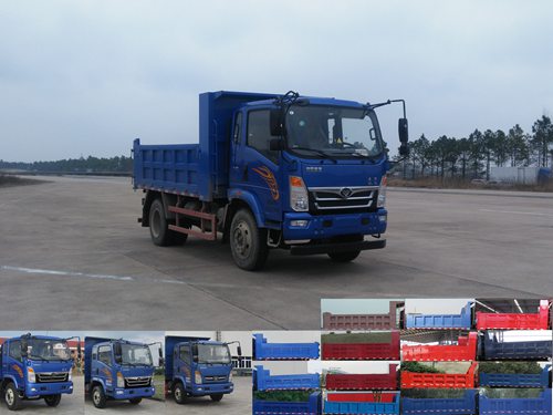 ZZ3048E17EB0自卸汽车燃油公告图片2