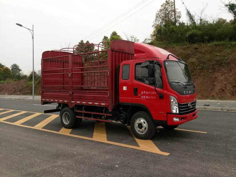 CNJ5041CCYZDB33V仓栅式运输车燃油公告图片2