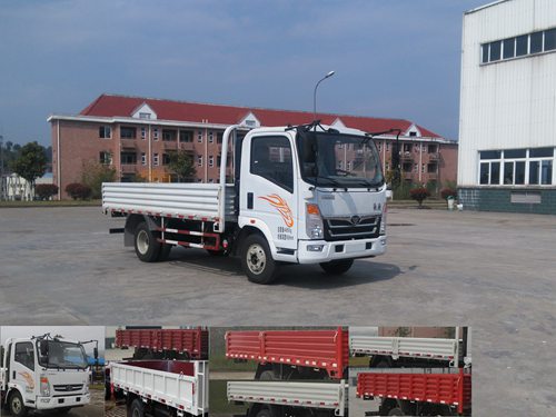 ZZ1048F17EB1载货汽车燃油公告图片2