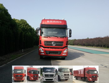 DFH5250CCYAXV仓栅式运输车燃油公告图片1