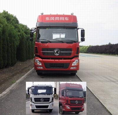 DFH1310A1载货汽车燃油公告图片1