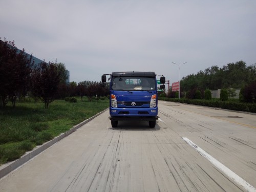 SSF1091HHP77载货汽车燃油公告图片1