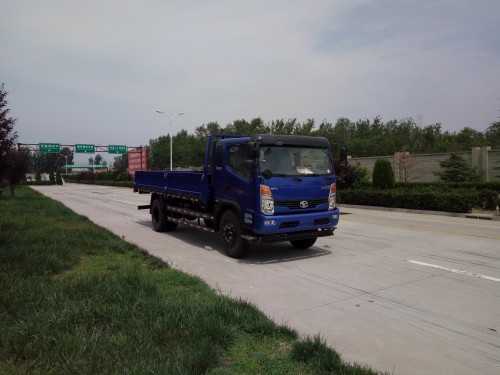 SSF1091HHP77载货汽车燃油公告图片2