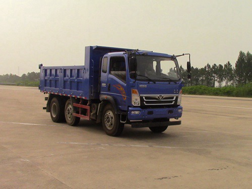 ZZ3258FC0EB0自卸汽车燃油公告图片2