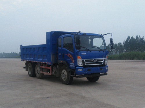 ZZ3258FC0EB1自卸汽车燃油公告图片2