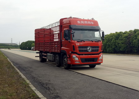 DFH5250CCYAX2A仓栅式运输车燃油公告图片2