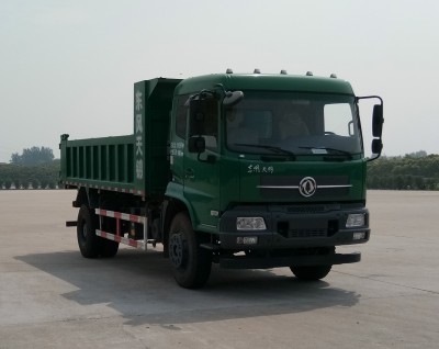 DFH3120BX8自卸汽车燃油公告图片2