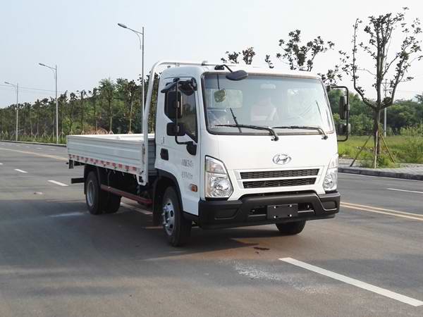 CHM1042GDC33V载货汽车燃油公告图片2