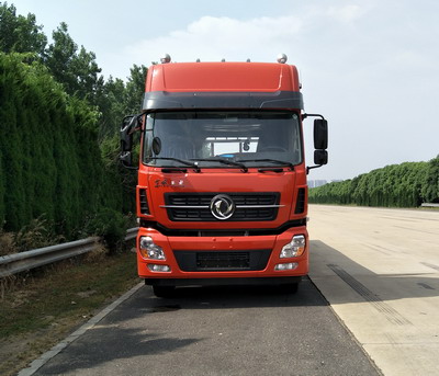 DFH1310A1载货汽车燃油公告图片1