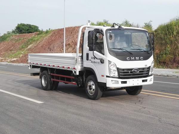 CNJ1080ZDB33V载货汽车燃油公告图片2