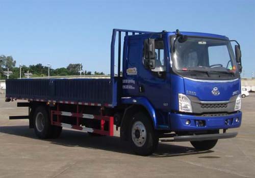 LZ1121M3AB载货汽车燃油公告图片2