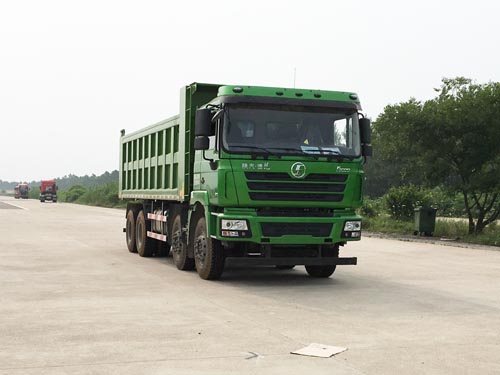 SX3310DB406A自卸汽车燃油公告图片2