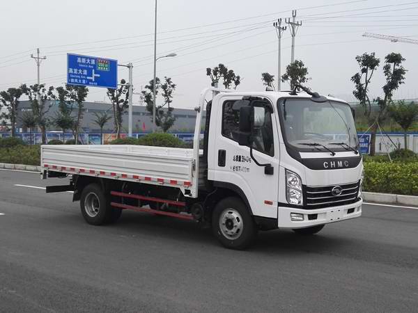 CNJ1040QDA33V载货汽车燃油公告图片2