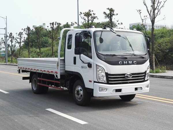 CNJ1040QDA33V载货汽车燃油公告图片2