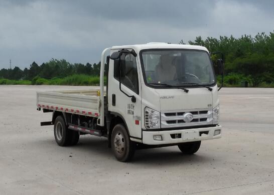 BJ1046V9JB5-H5载货汽车燃油公告图片2