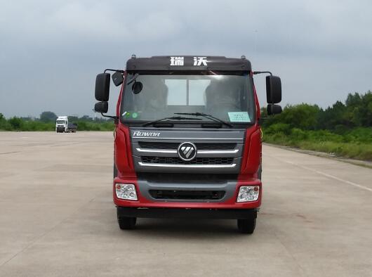 BJ1185VLPEG-FA载货汽车燃油公告图片1