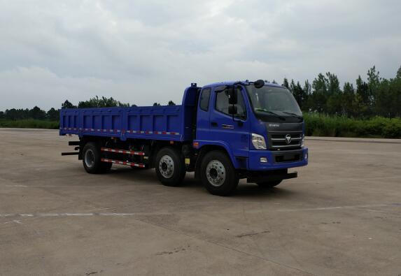 BJ3193DKPEB-FB自卸汽车燃油公告图片2