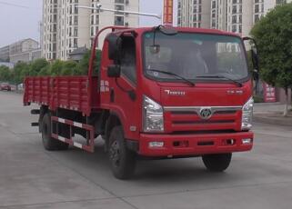 STQ1151L08Y2N5载货汽车燃油公告图片2