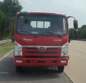 STQ1081L02Y1N5载货汽车燃油公告图片1