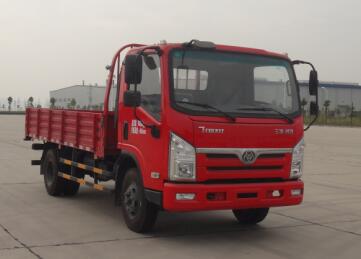STQ1081L02Y1N5载货汽车燃油公告图片2