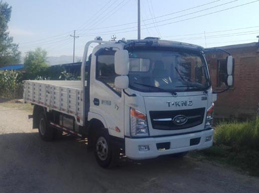 ZB1041UDD6V载货汽车燃油公告图片2