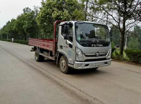 BJ1045V8JDA-FA载货汽车燃油公告图片2