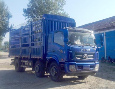 ZB5250CCYUPQ2V仓栅式运输车燃油公告图片2