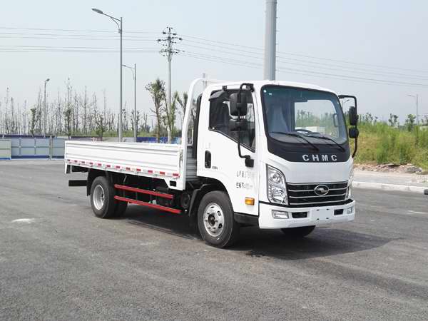 CNJ1040EDF33V载货汽车燃油公告图片2