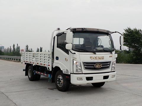 ZB1041UDD6V载货汽车燃油公告图片2