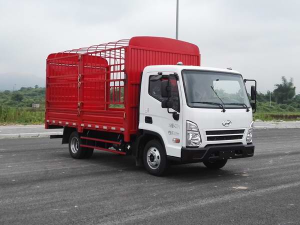 CHM5042CCYGDC33V仓栅式运输车燃油公告图片2