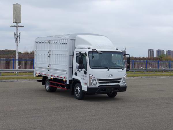 CHM5060CCYGDC38V仓栅式运输车燃油公告扩展图片1