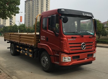 DYQ1180D5AB载货汽车燃油公告图片2